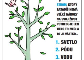 strom medzinarodny den stromov infolink21 sadenie letak