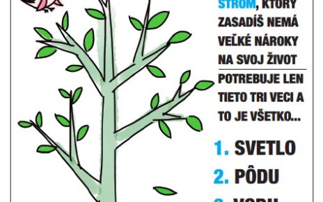 strom medzinarodny den stromov infolink21 sadenie letak