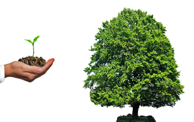strom zasad medzinarodny den stromov infolink21 co potrebuje letak