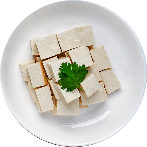 tofu slovenska soja infolink21 vegetarian vegan bez gmo