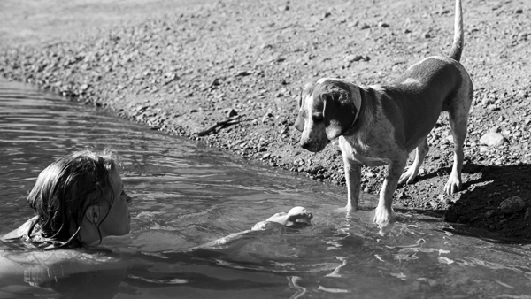aktivita pohyb pes macka prechadzka hra hracka plavanie voda infolink21 03