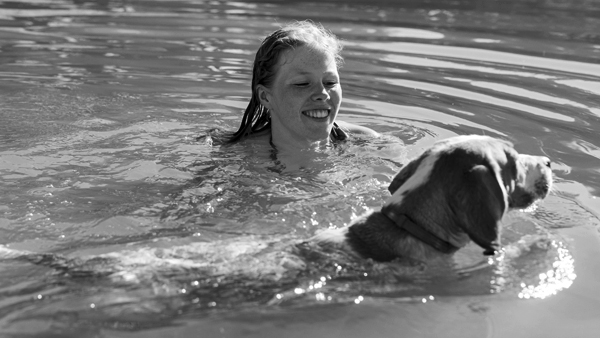 aktivita pohyb pes macka prechadzka hra hracka plavanie voda infolink21 04