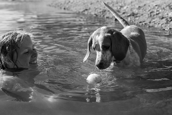 aktivita pohyb pes macka prechadzka hra hracka plavanie voda infolink21 05